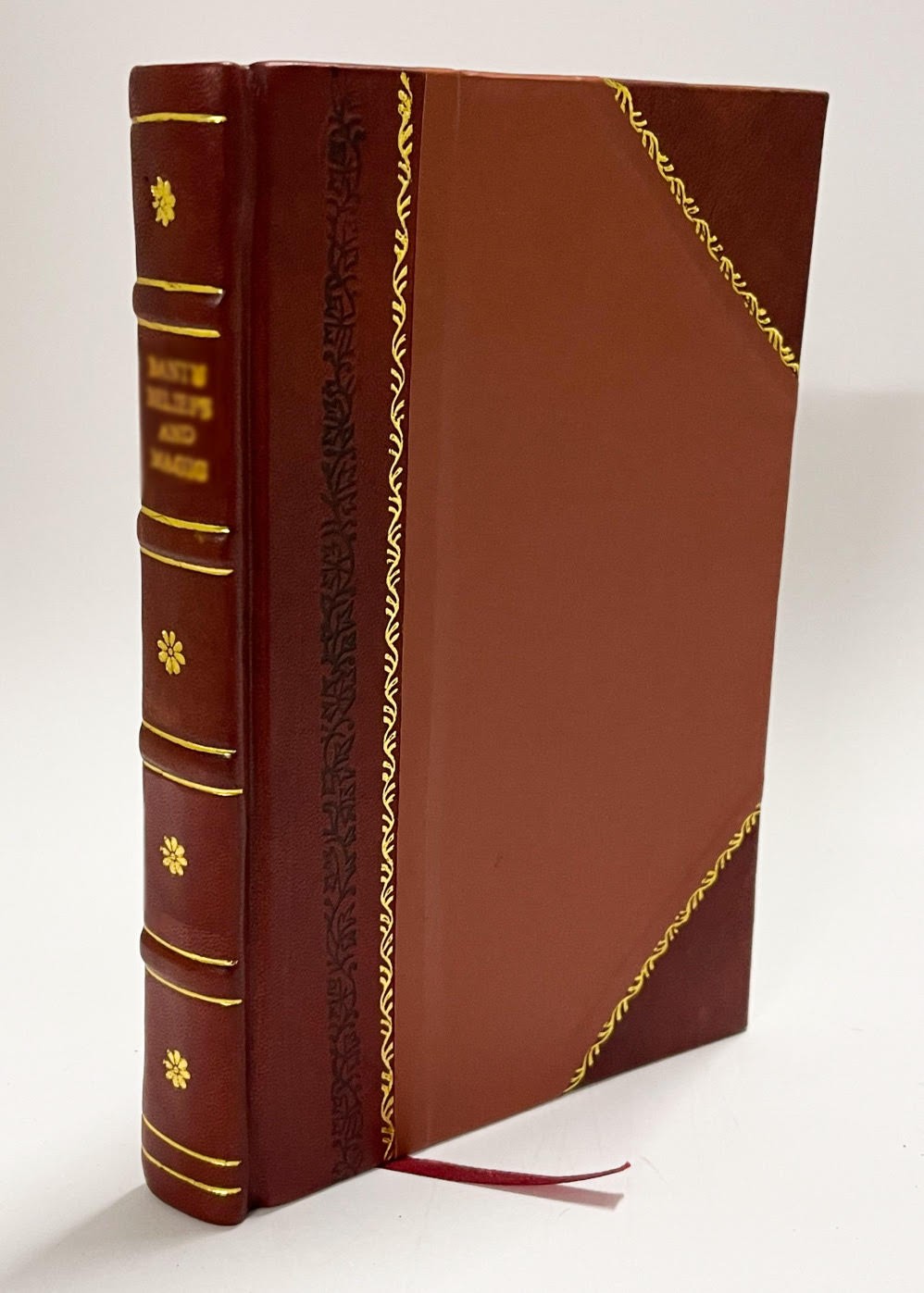 Ants and the Children of the Garden, Relating the Habits of the [Leather Bound]