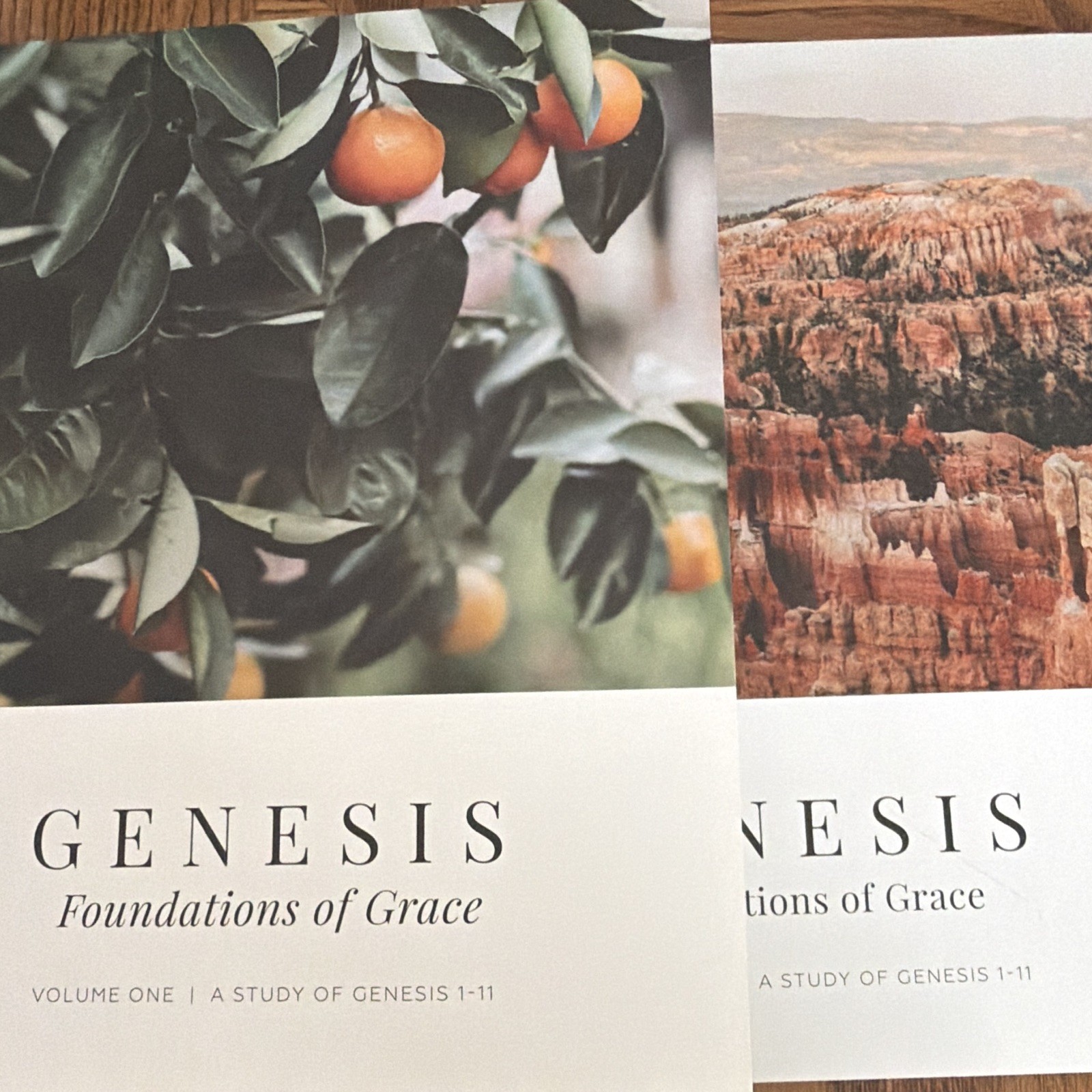 Genesis: Foundations of Grace Vol 1 Joanna Kimbrel PB Illus