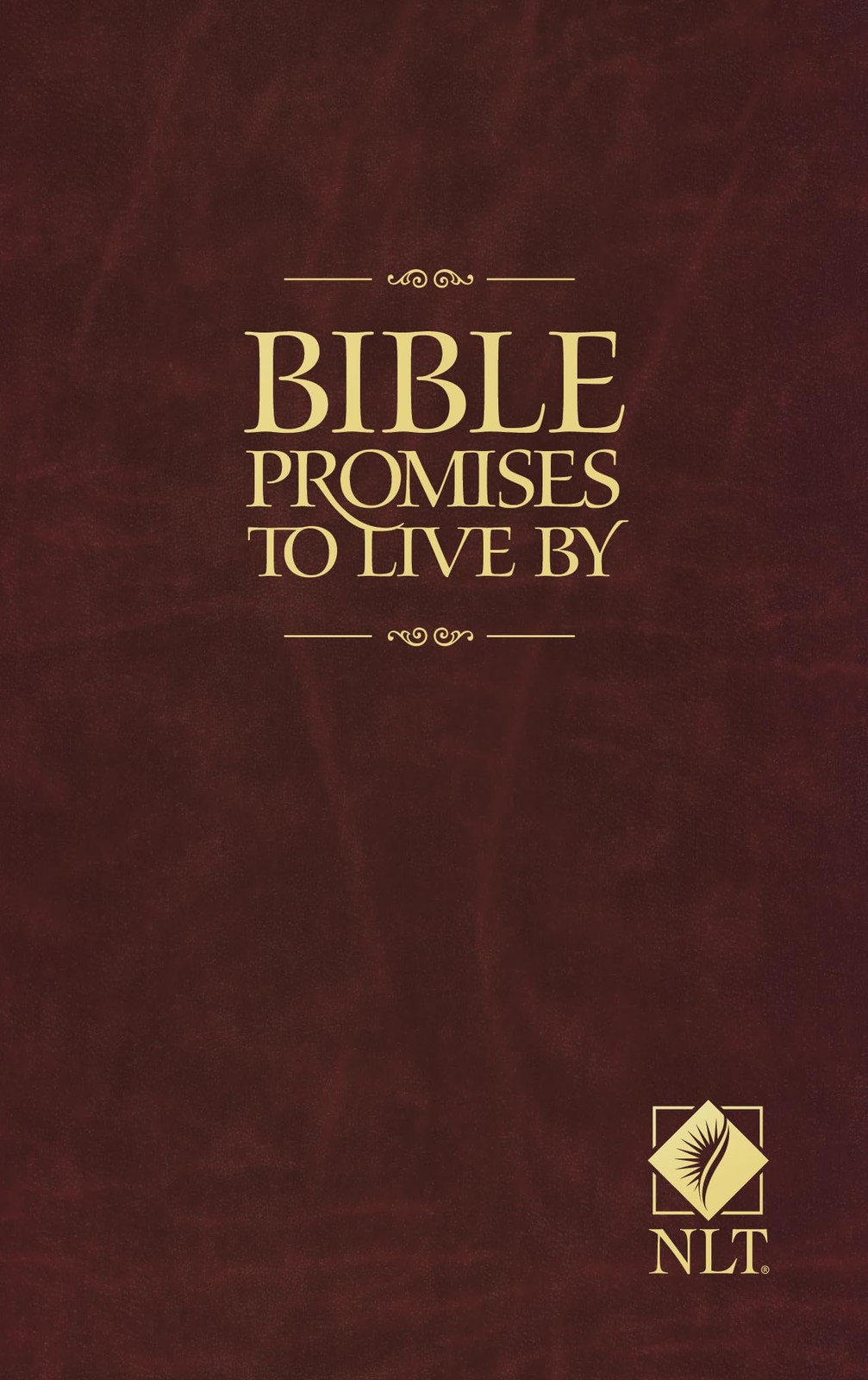 Bible Promises to Live By – Beers, Ronald A.|Mason, Amy E. – Good – See cond…