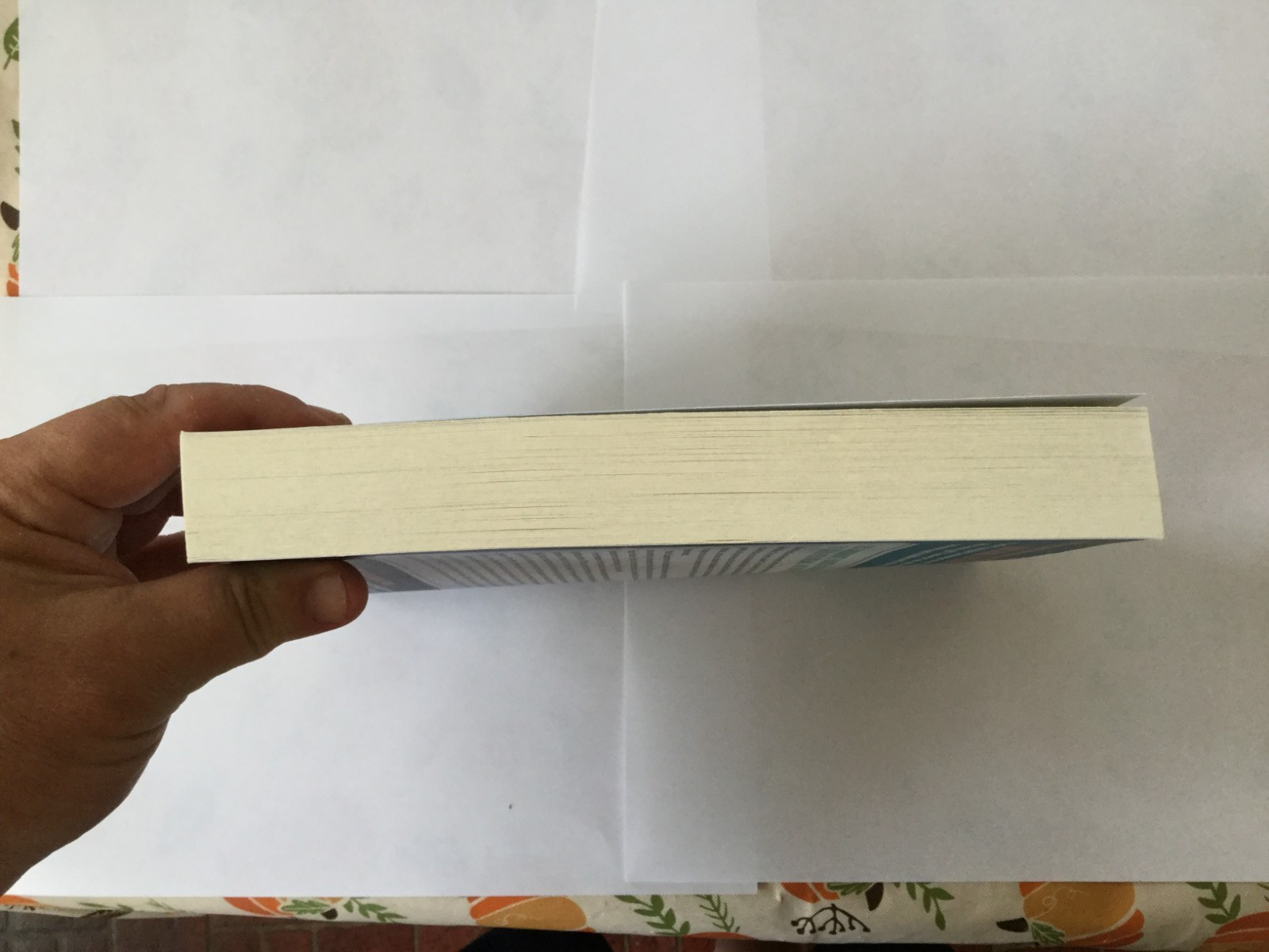 View from Lake Como : A Novel by Adriana Trigiani UNCORRECTED PROOF 7/25 NEW