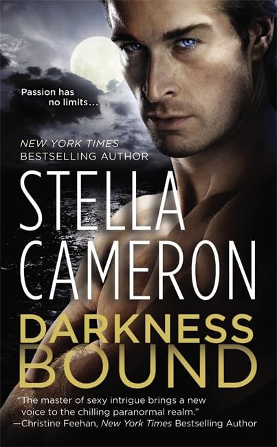 Darkness Bound: Number 1 in se – GOOD