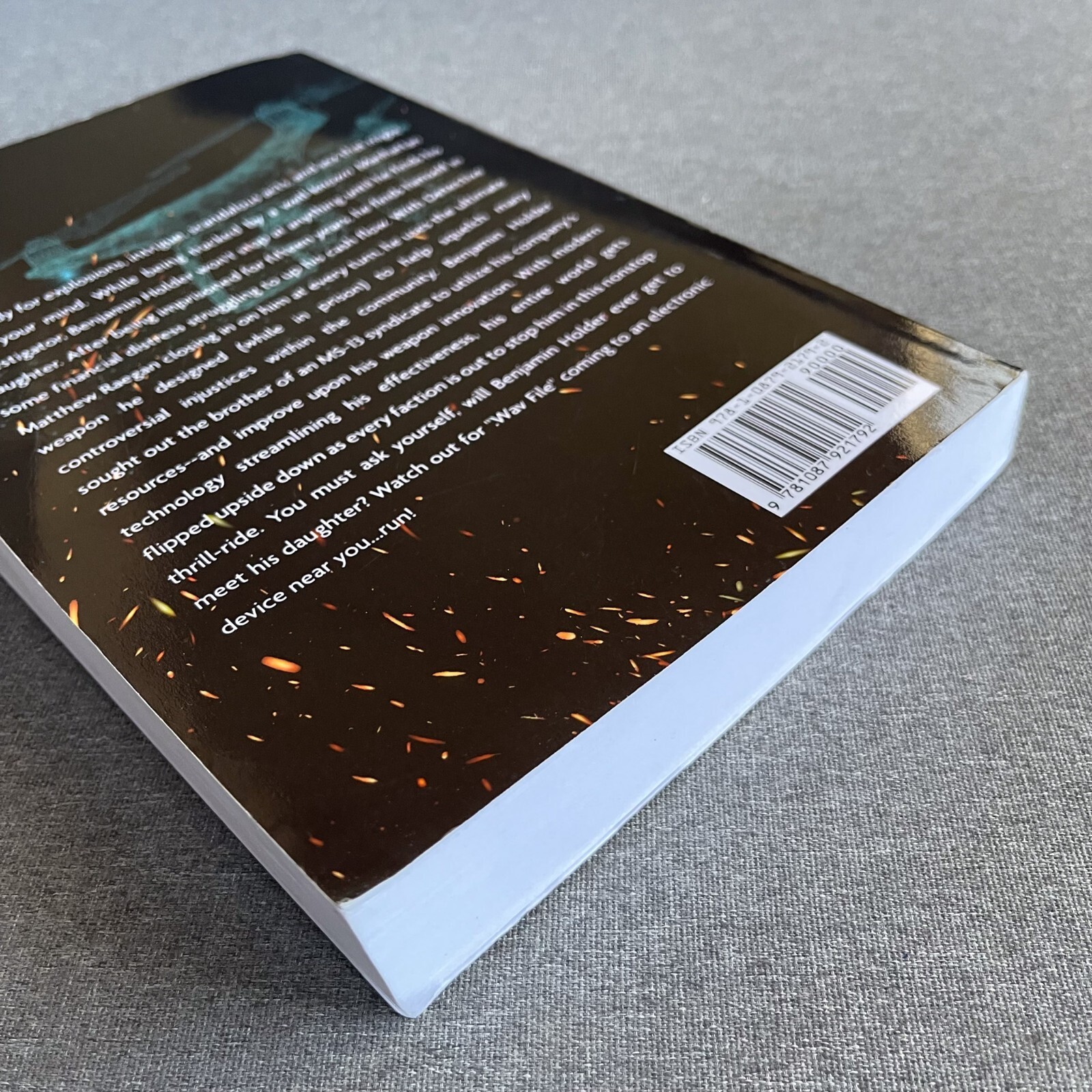 Wav File Paperback – February 2, 2021 by Rich King