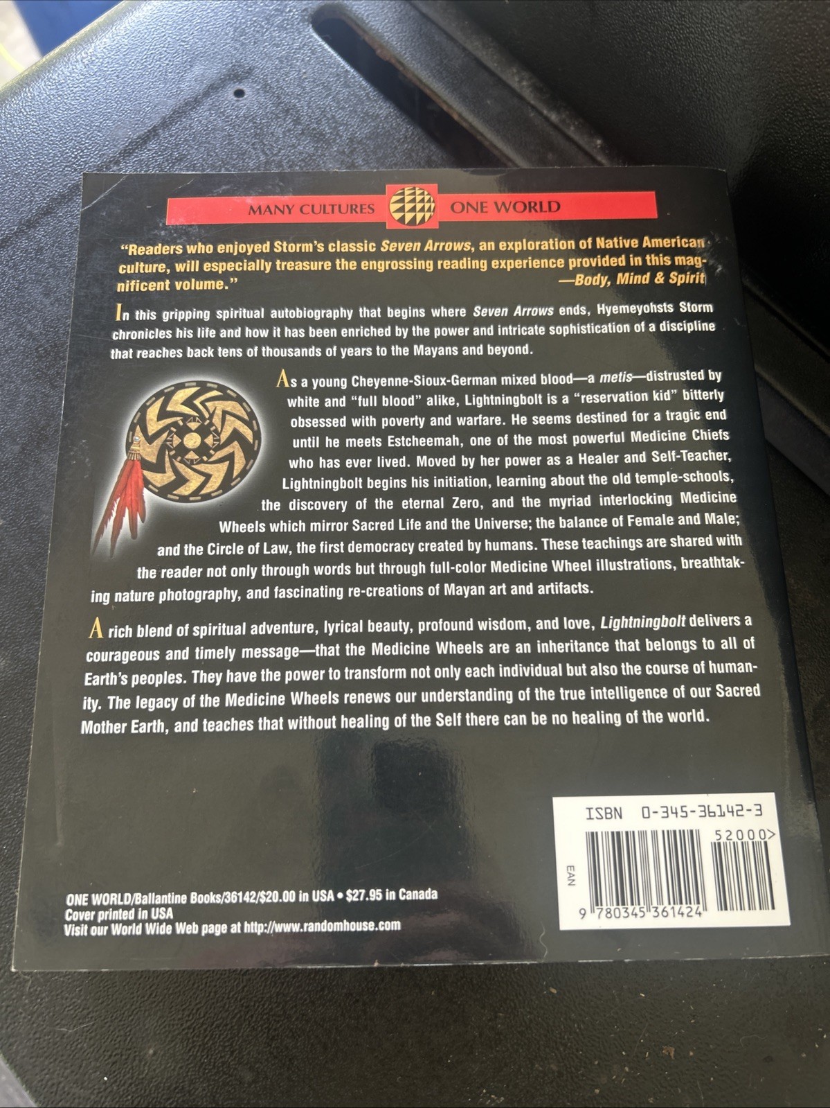 Lightningbolt by Hyemeyohsts Storm (1997, Trade Paperback)