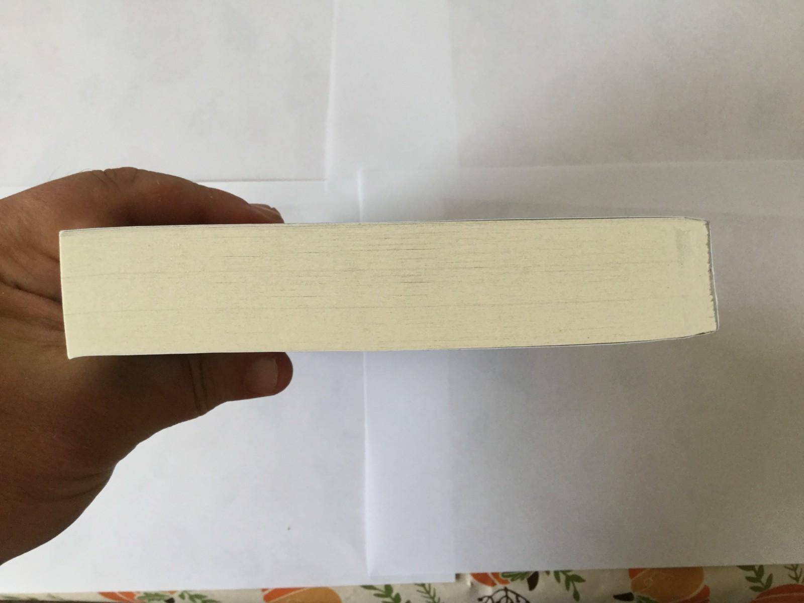 View from Lake Como : A Novel by Adriana Trigiani UNCORRECTED PROOF 7/25 NEW