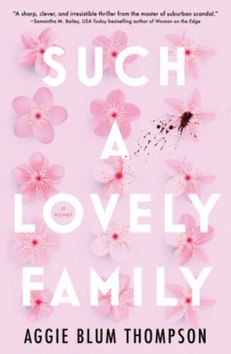 Such a Lovely Family – Paperback By Thompson, Aggie Blum – GOOD