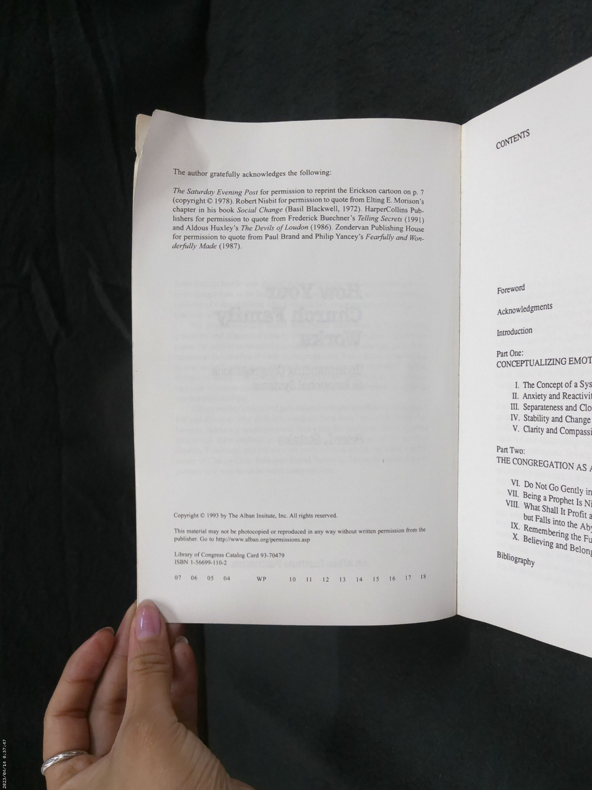 How Your Church Family Works by Peter L. Steinke