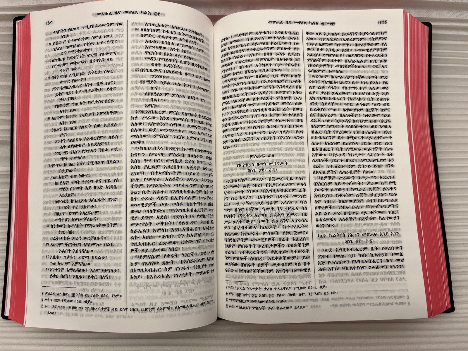 Ethiopian Orthodox Amharic Bible የኢትዮጵያ ኦርቶዶክስ ቤ/ክርሰቲያን መፅሐፍ ቅዱስ 81 አሐዱ .