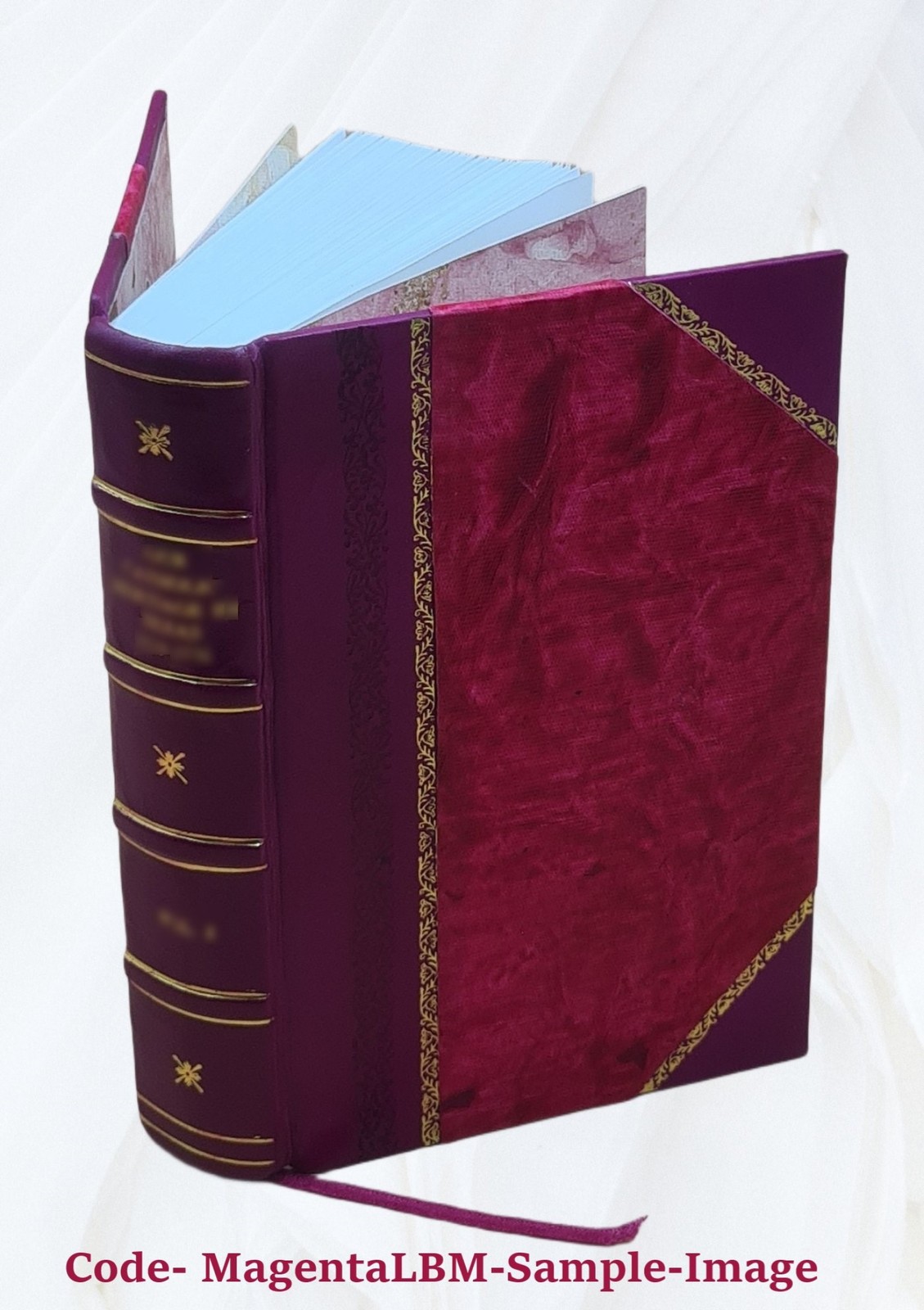 Vitalogy, or, Encyclopedia of health and home adapted for home a [Leather Bound]