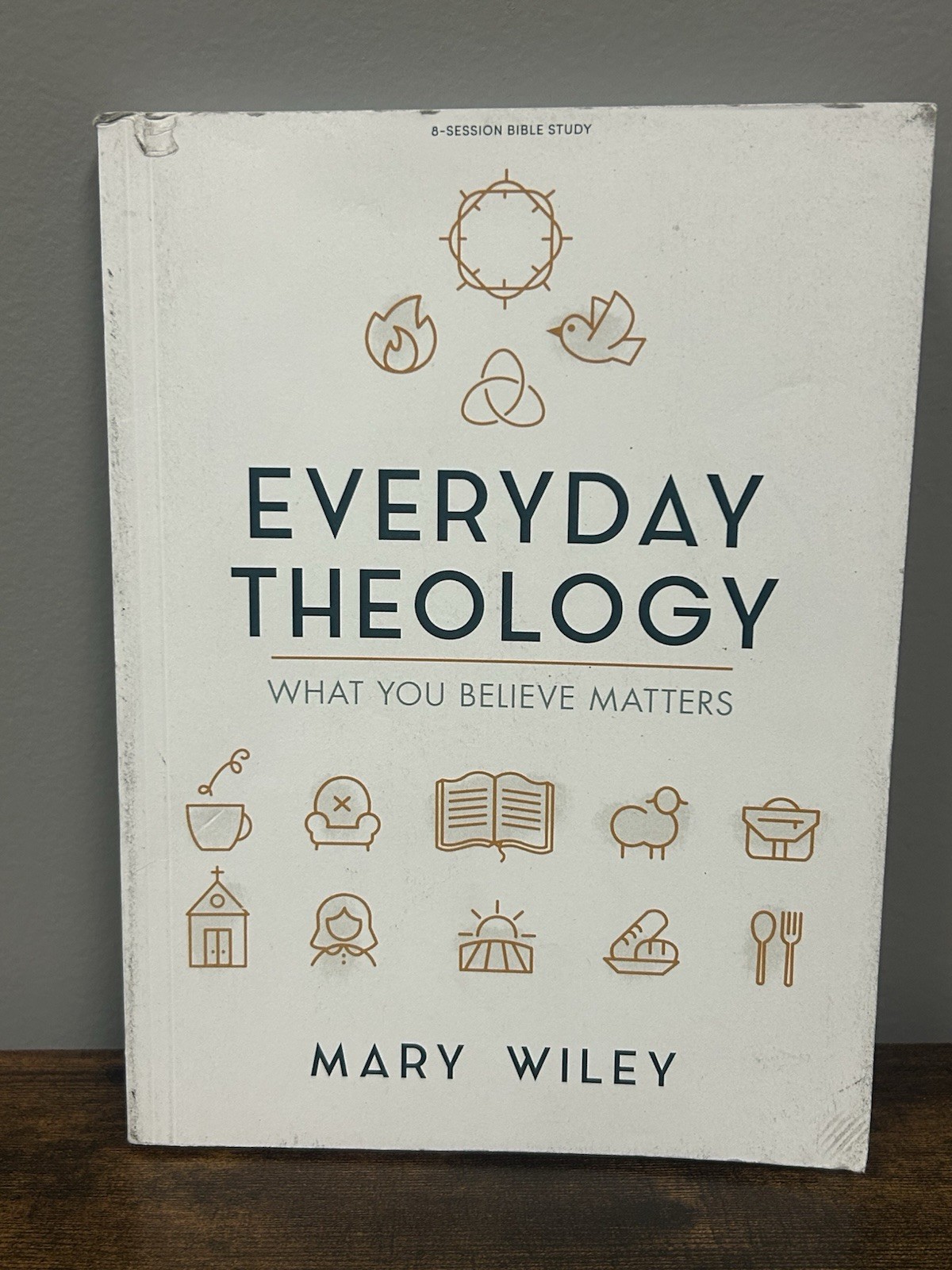 Everyday Theology – Bible Study Book : What You Believe Matters by Mary Wiley…