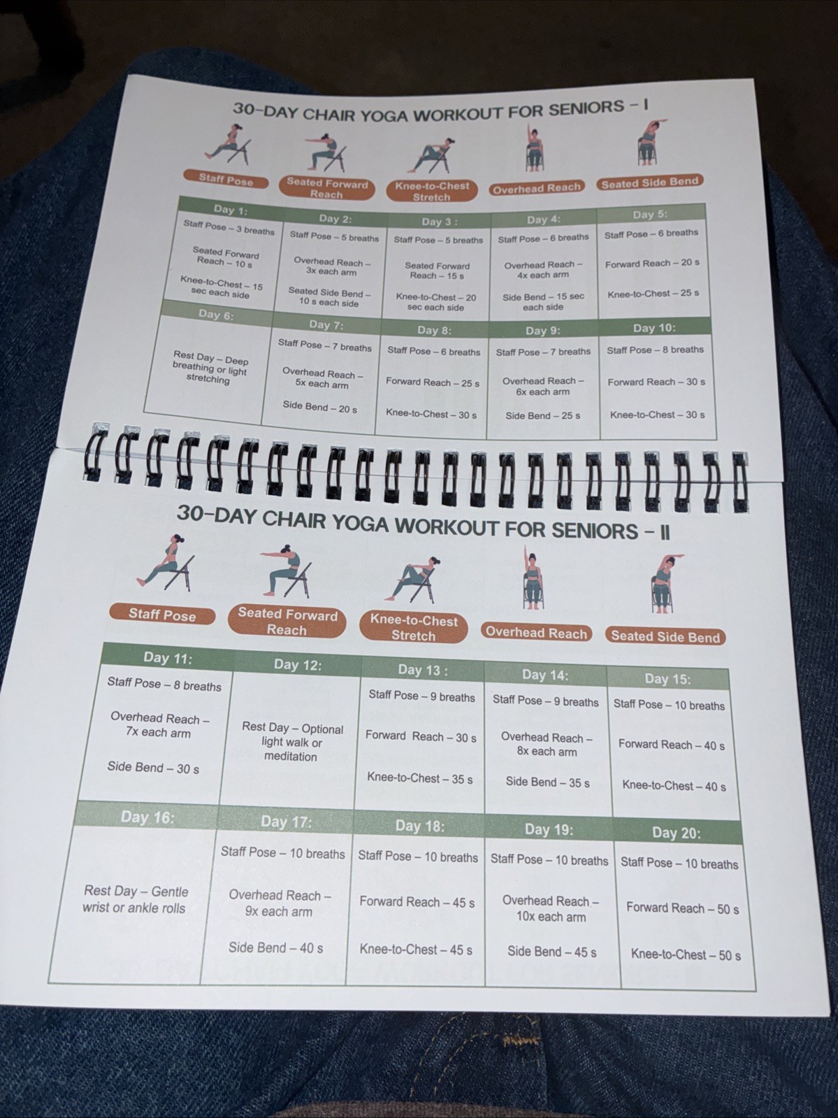 Chair Yoga for Weight Loss: a Collection of 50+ Low-Impact Exercises for Seniors