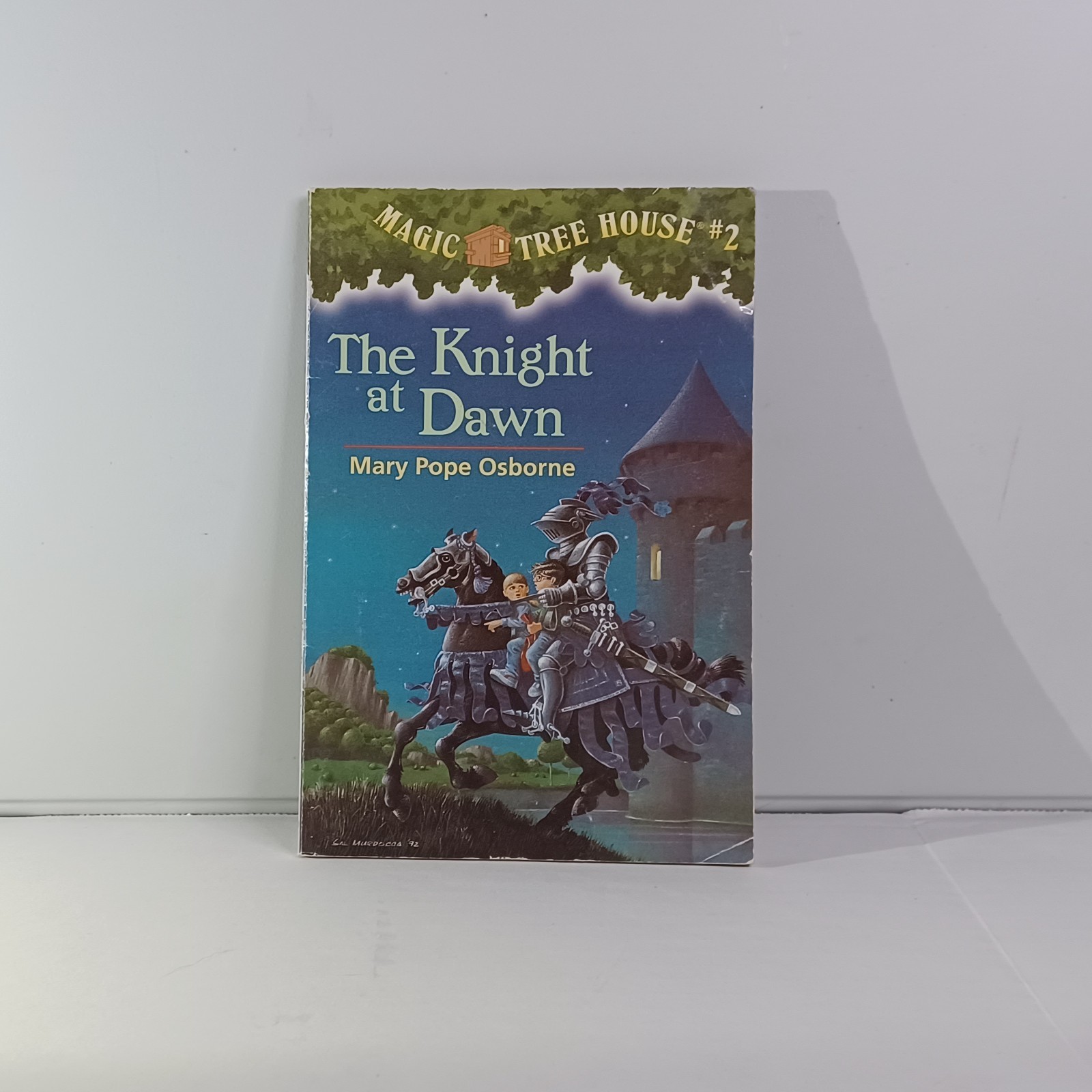 Magic Tree House Book Lot (13 Books) Mary Pope Osborne – Mixed Numbers