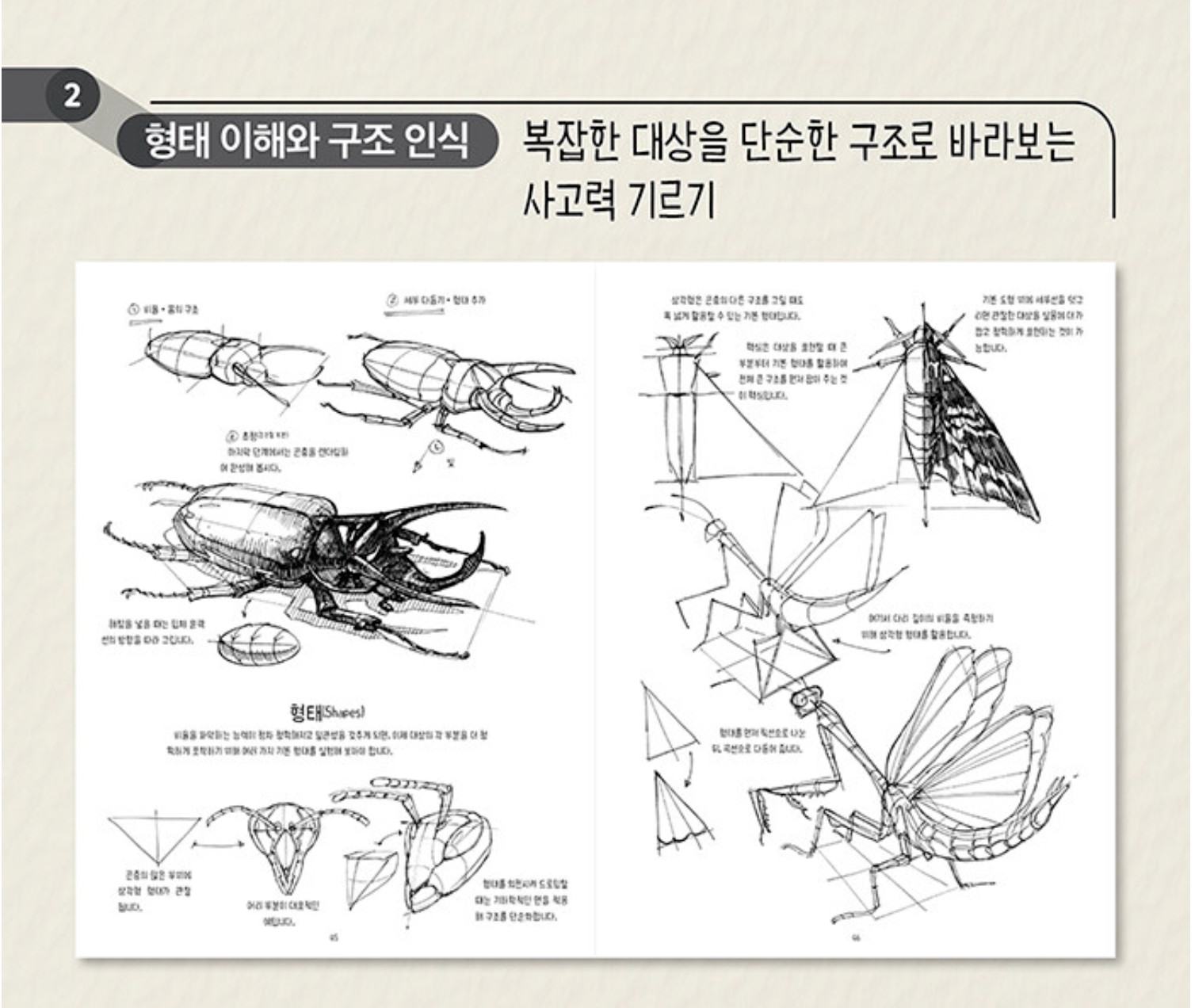 The Dynamic Bible by Peter Han Authentic Drawing Book Korean