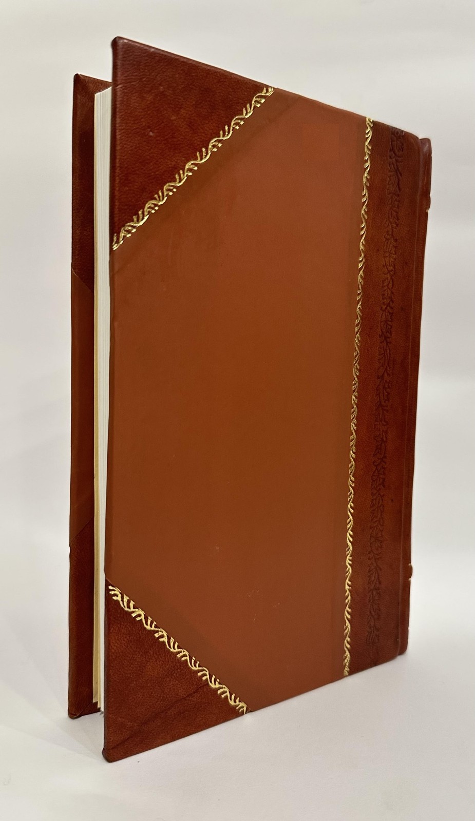 Geschichte Der Kleinasiatischen Galater by Felix Stähelin [Leather Bound]