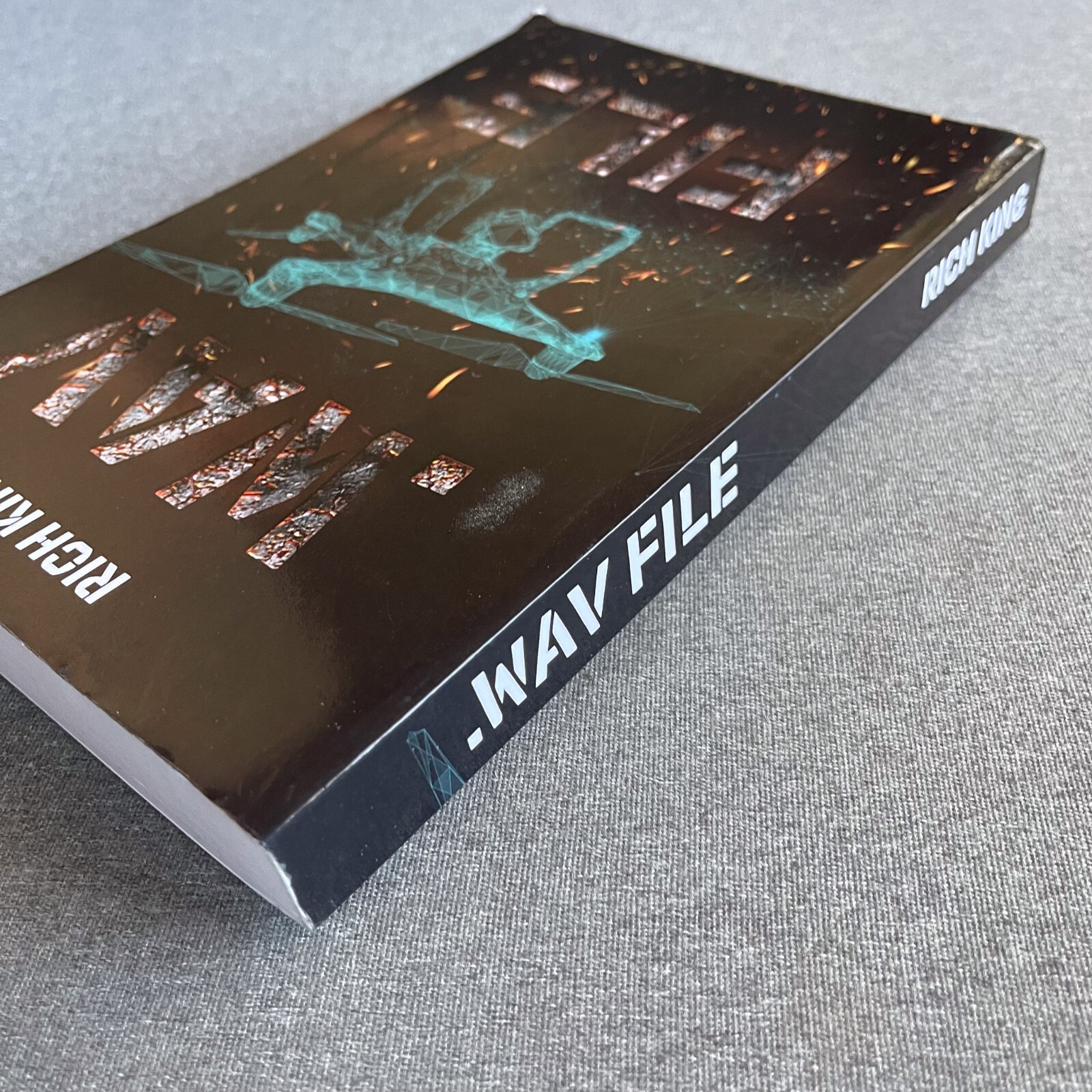 Wav File Paperback – February 2, 2021 by Rich King