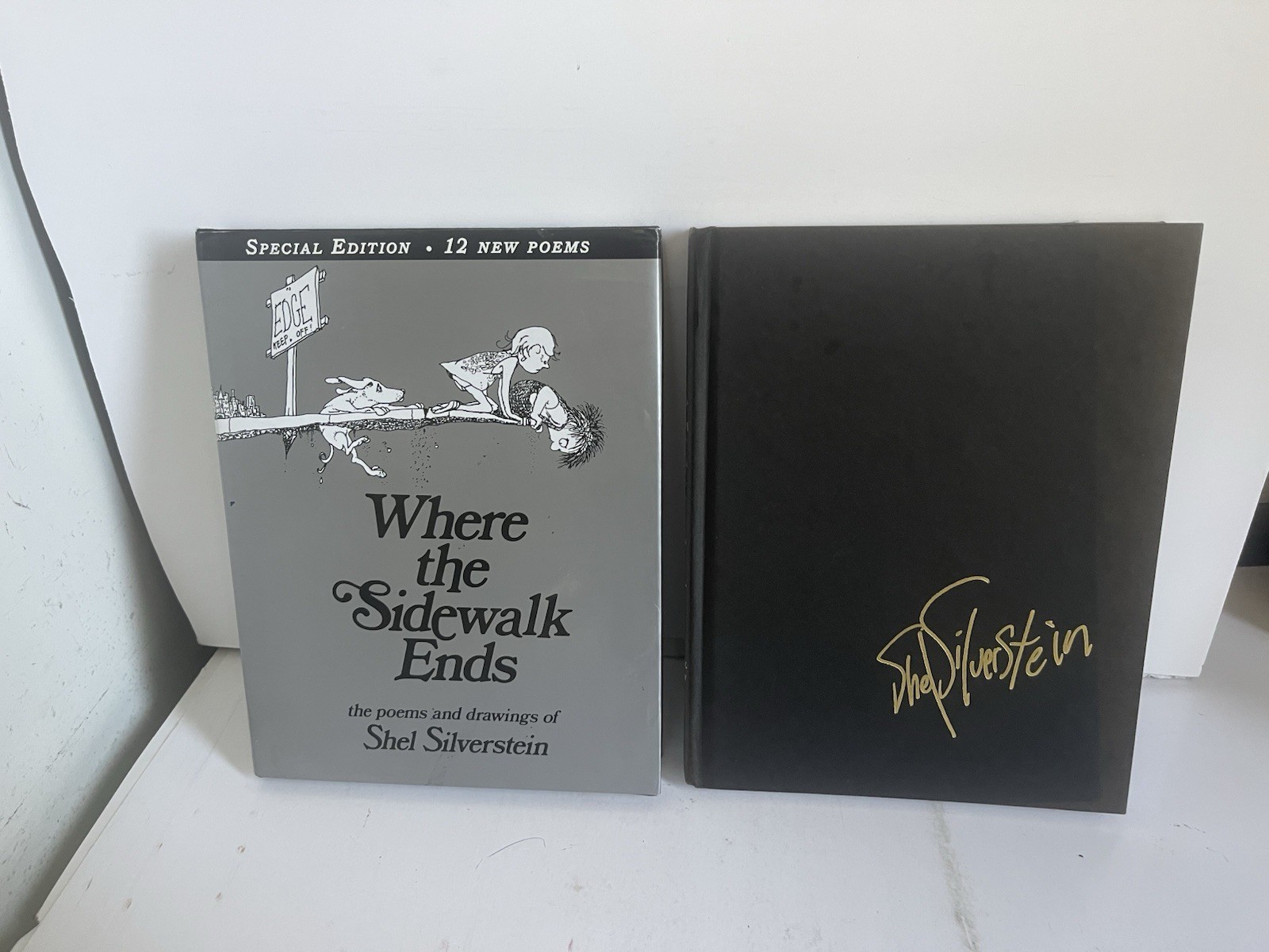 SHEL SILVERSTEIN Books Lot 10 Hardcover First Printing DJ Mixed Years & Titles