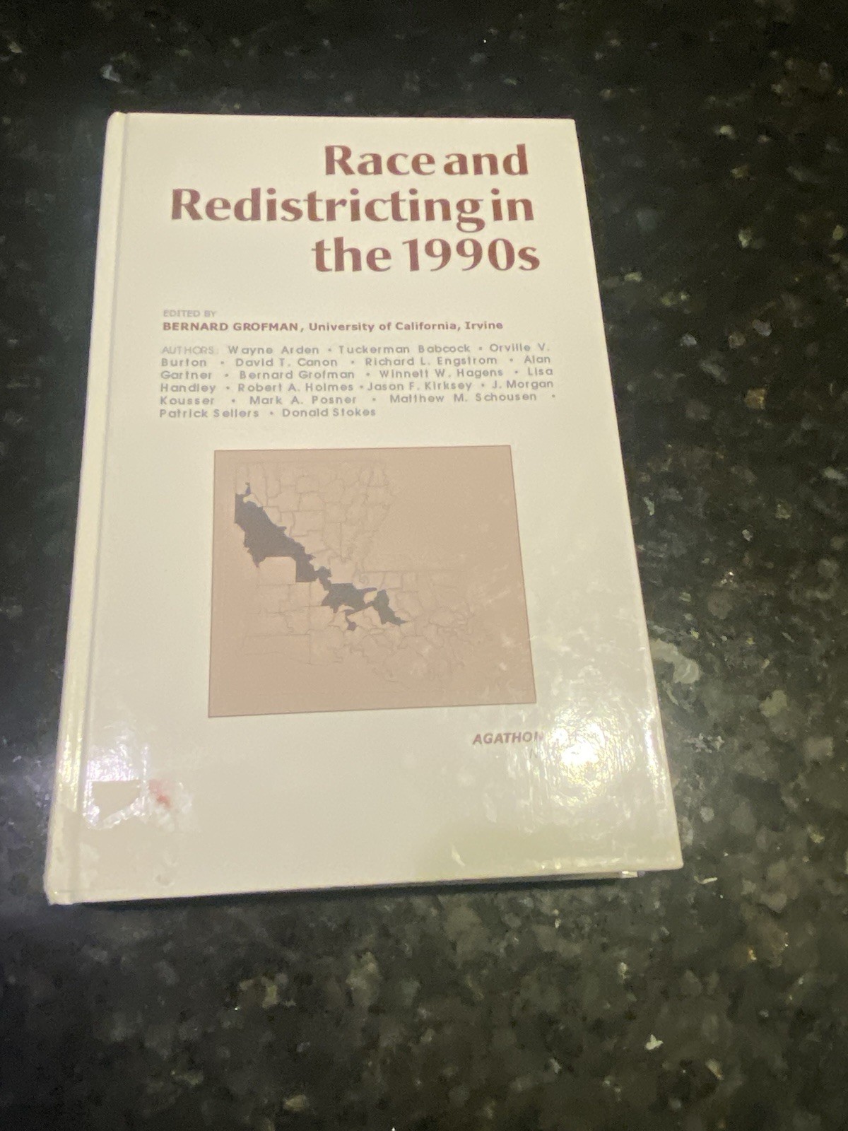 Race and Redistricting in the 1990s by Lisa Handley, Matthew Schousen, Mark…