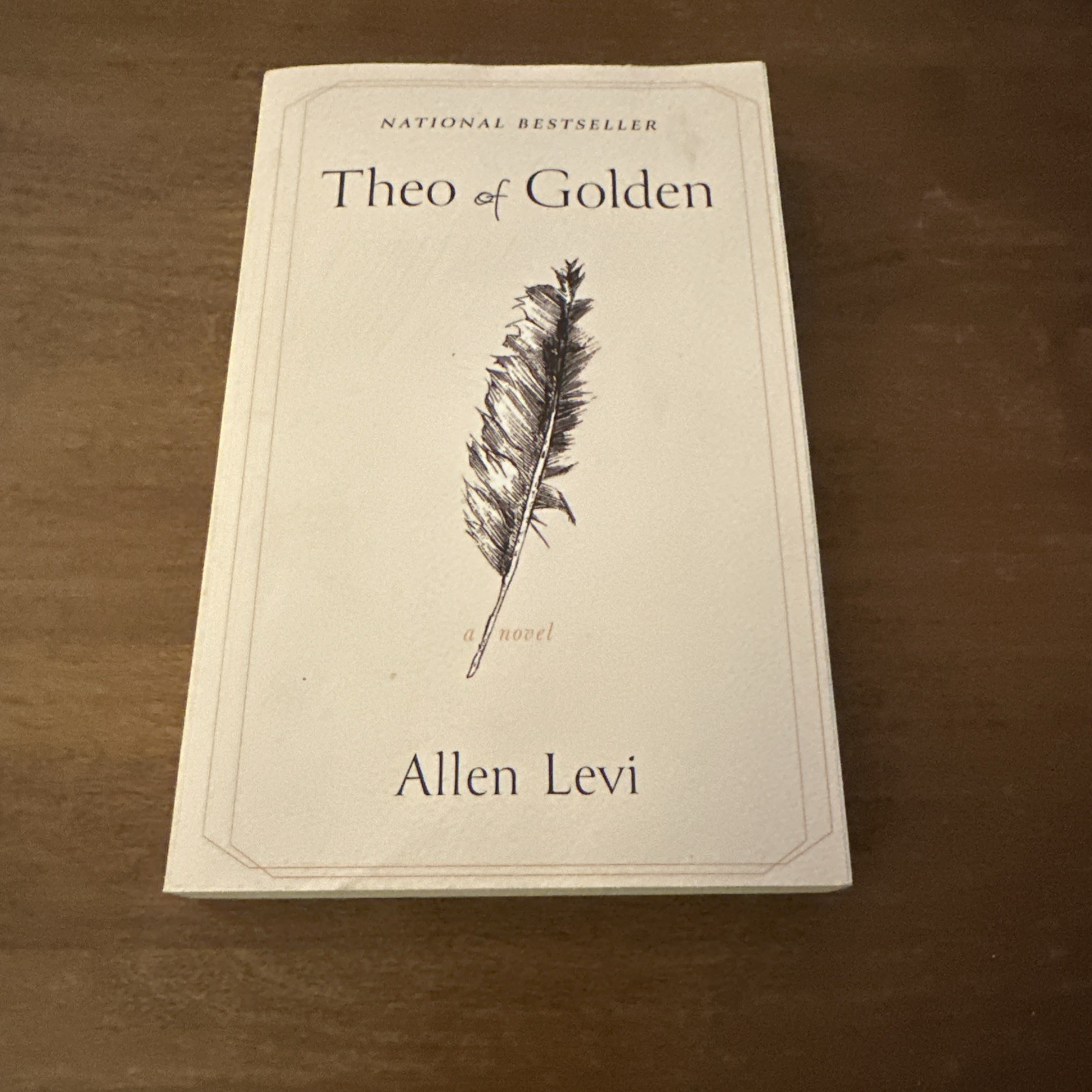 Theo of Golden : A Novel by Allen Levi (2025, Trade Paperback) VERY GOOD