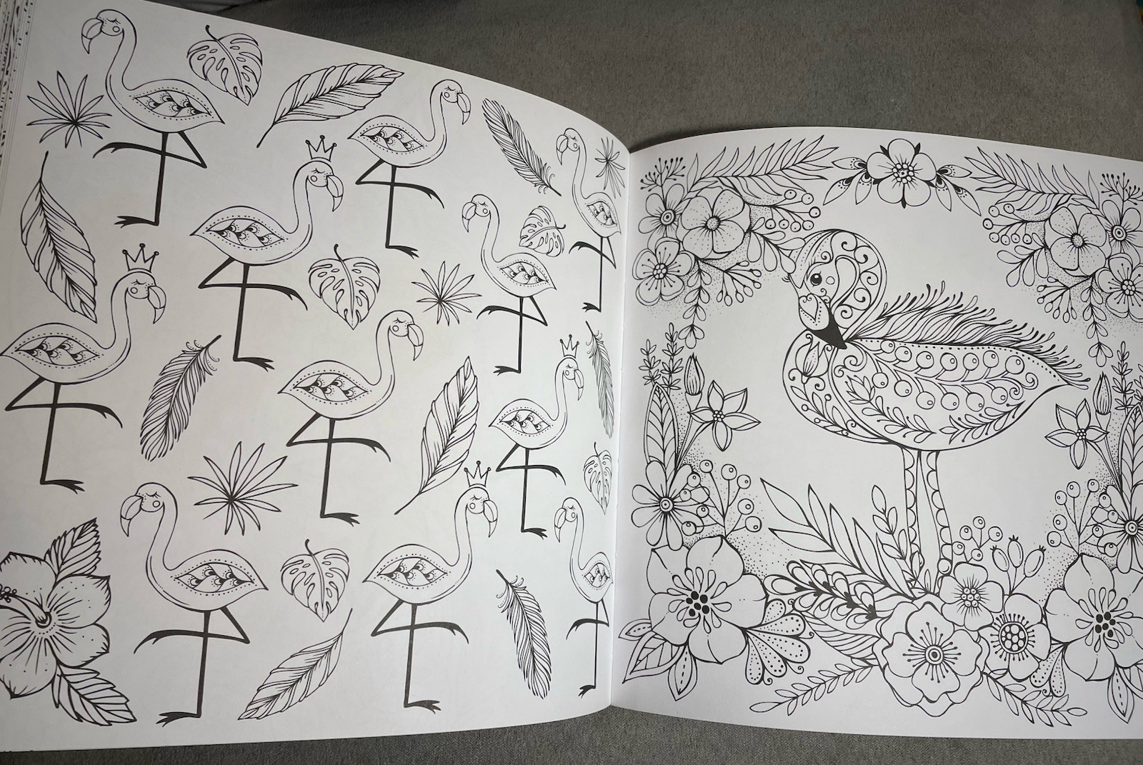 Die Welt unter der Lupe zu Lande RITA BERMAN German Import Nature Coloring Book