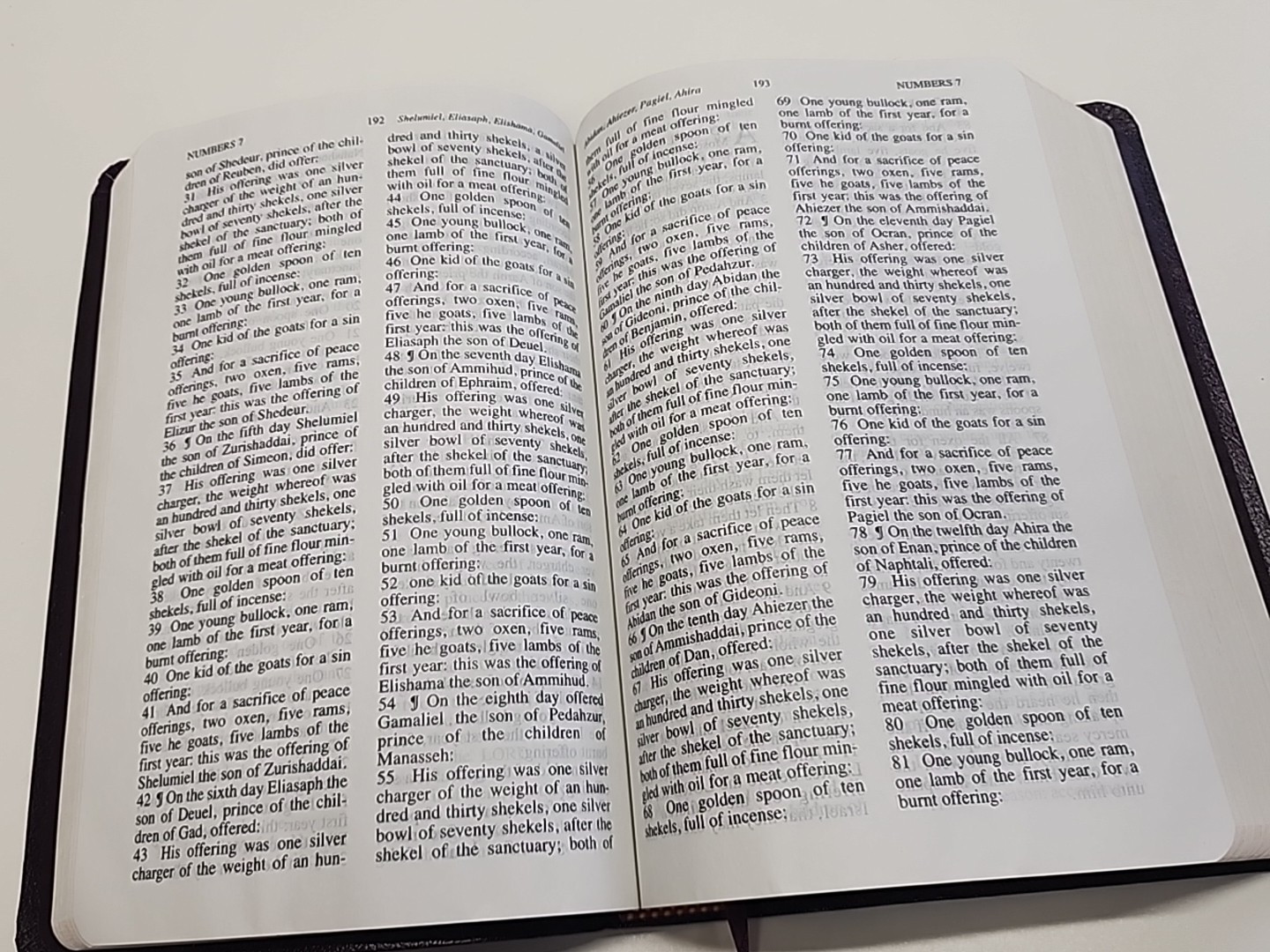 The Jack Van Impe PROPHECY BIBLE ~ Red Letter ~ Limited Special Edition KJV
