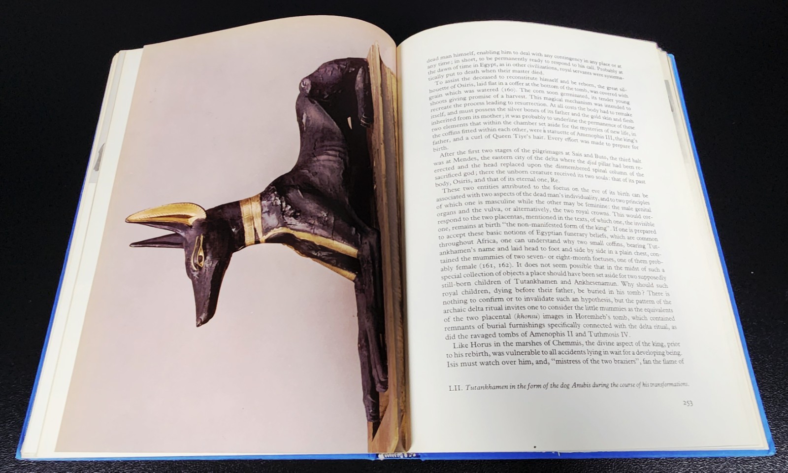 Tutankhamen Book History Life Death of a Pharaoh Christiane Desroches-Noblecourt