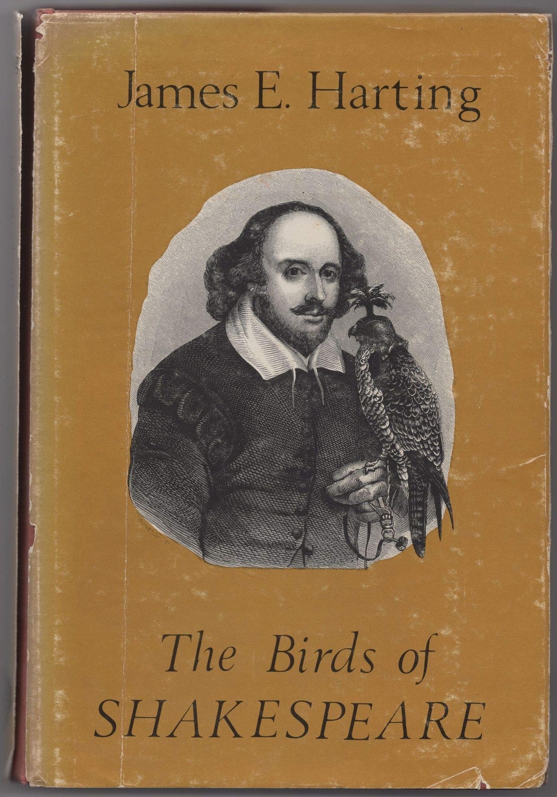 Birds of Shakespeare