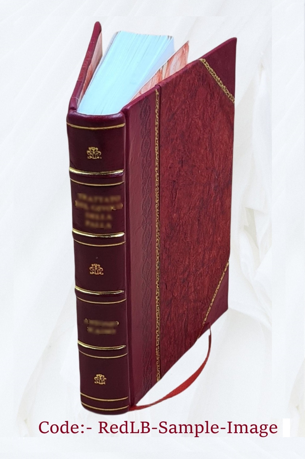 Witchcraft & Second Sight In The Highlands & Islands Of Scotland [Leather Bound]