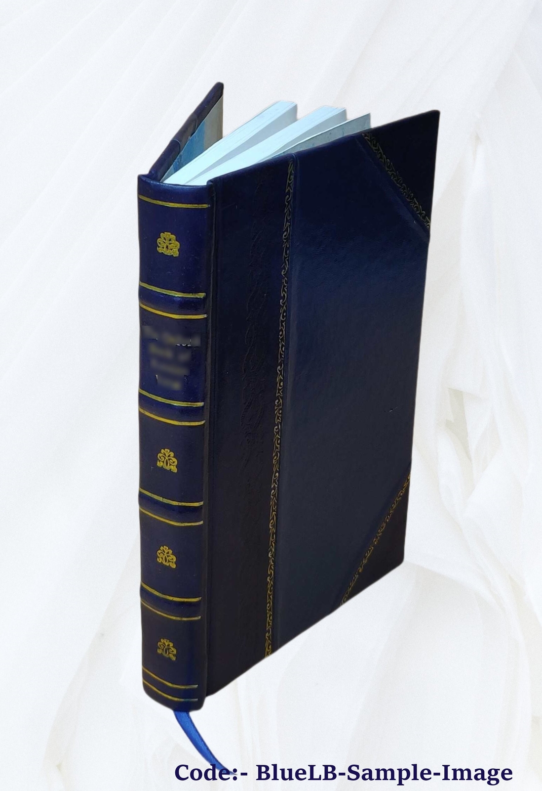 Witchcraft & Second Sight In The Highlands & Islands Of Scotland [Leather Bound]