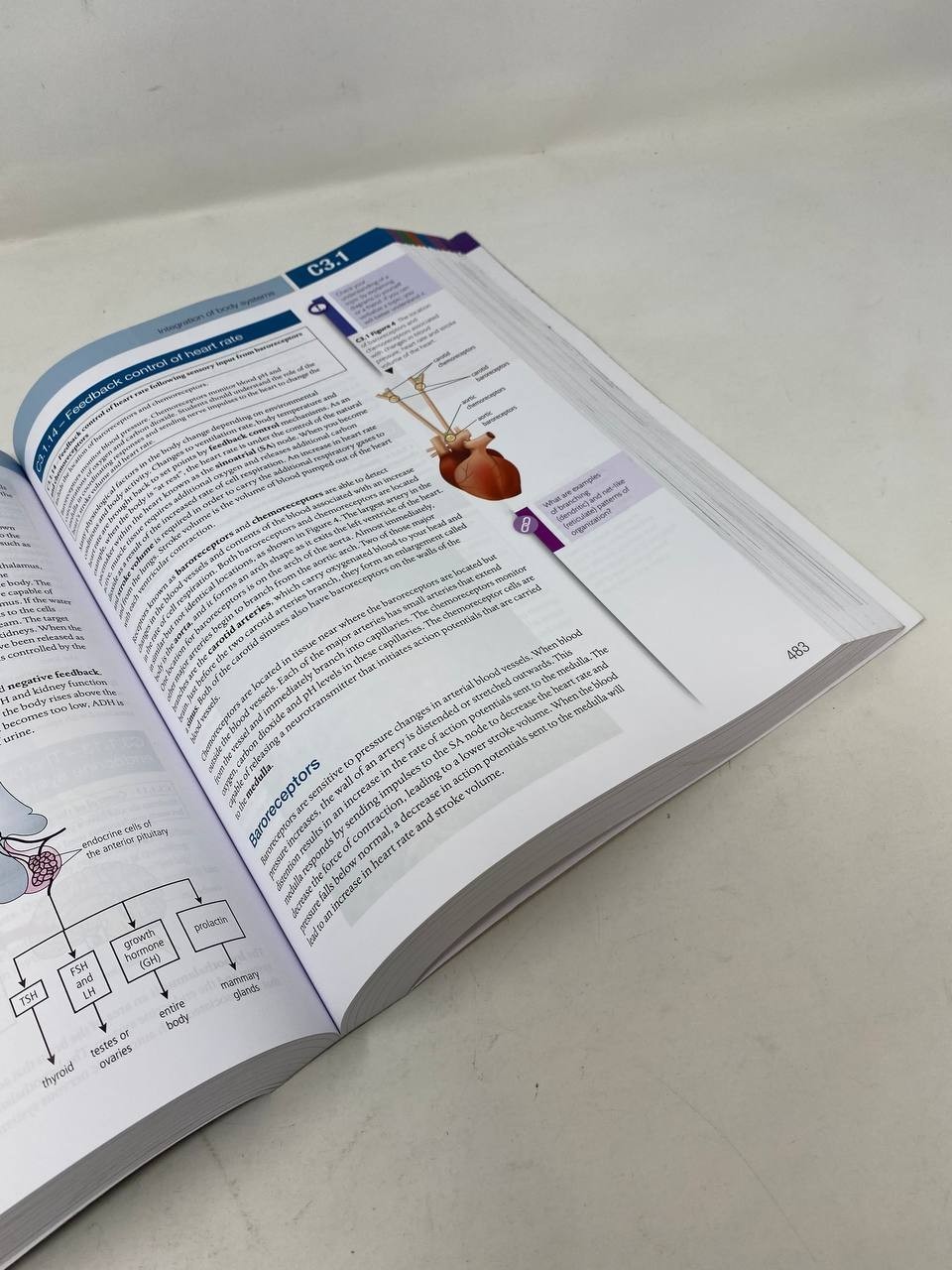 Pearson Biology For The Ib Diploma Standard Level 3 Edition