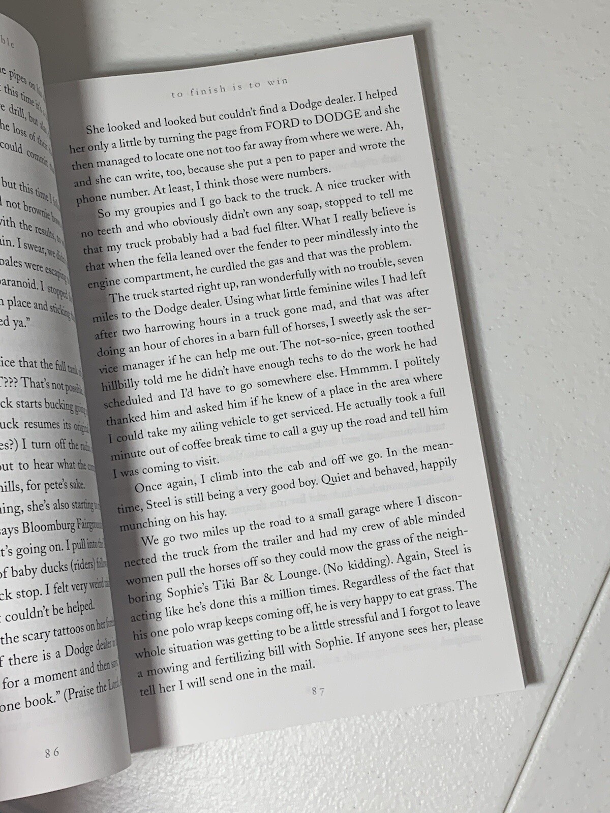 TO FINISH IS TO WIN: ONE WOMAN’S RIDING ADVENTURES By Dodie Sable