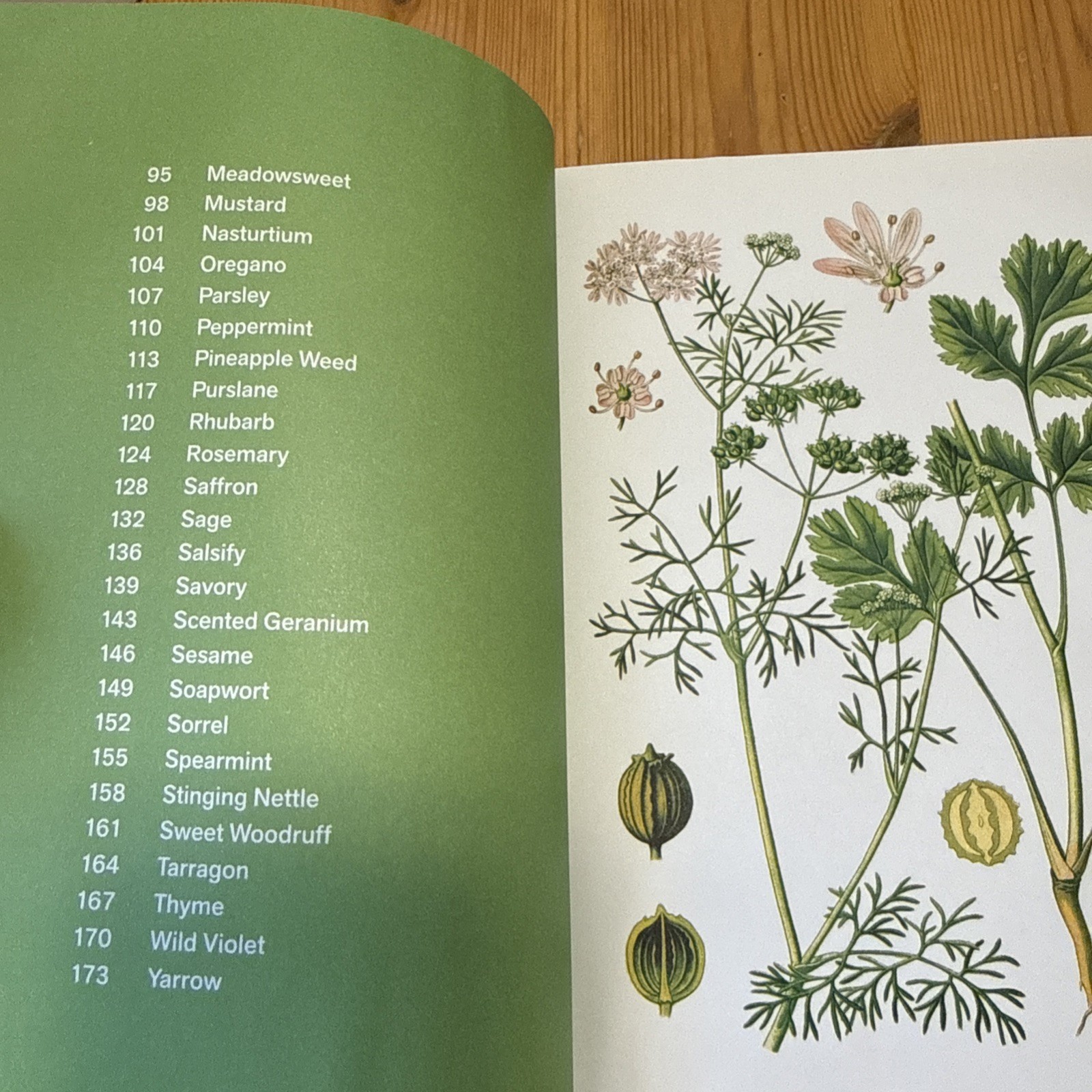 Herbal Handbook by New York Botanical Garden (Illustrated)
