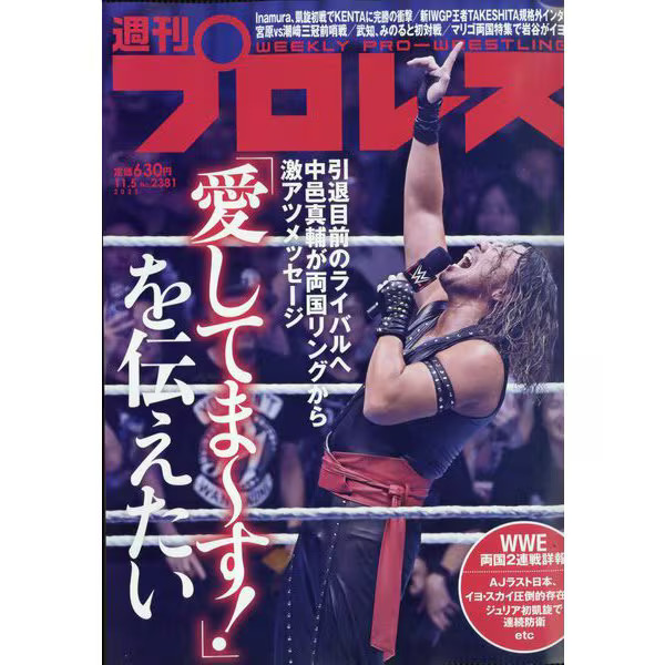 Weekly Pro Wrestling Magazine 2025 Nov Issue Sports Entertainment Collectible