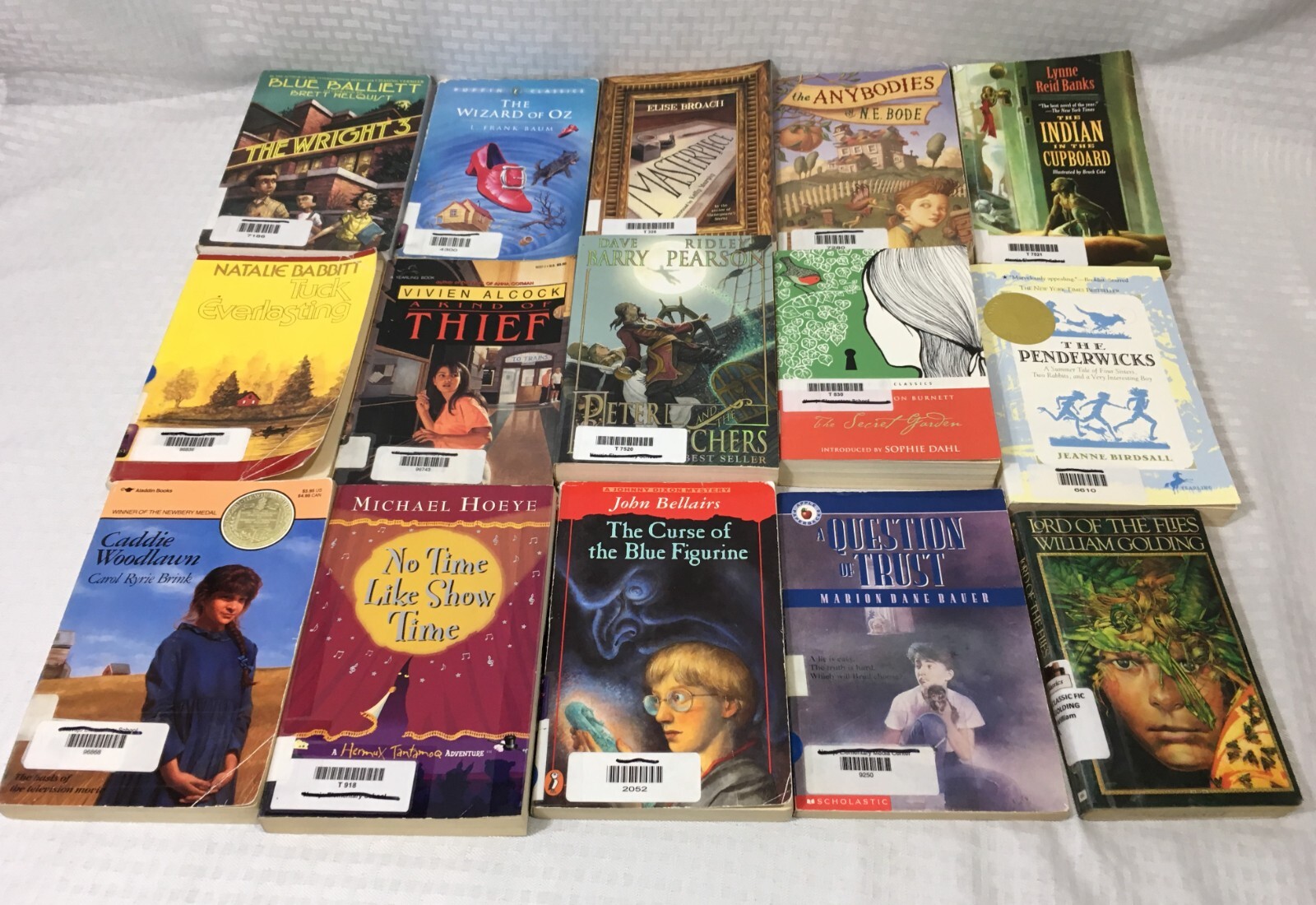 LOT OF 15 YOUNG ADULT NOVELS / MULTIPLE TITLES & AUTHORS / PAPERBACK