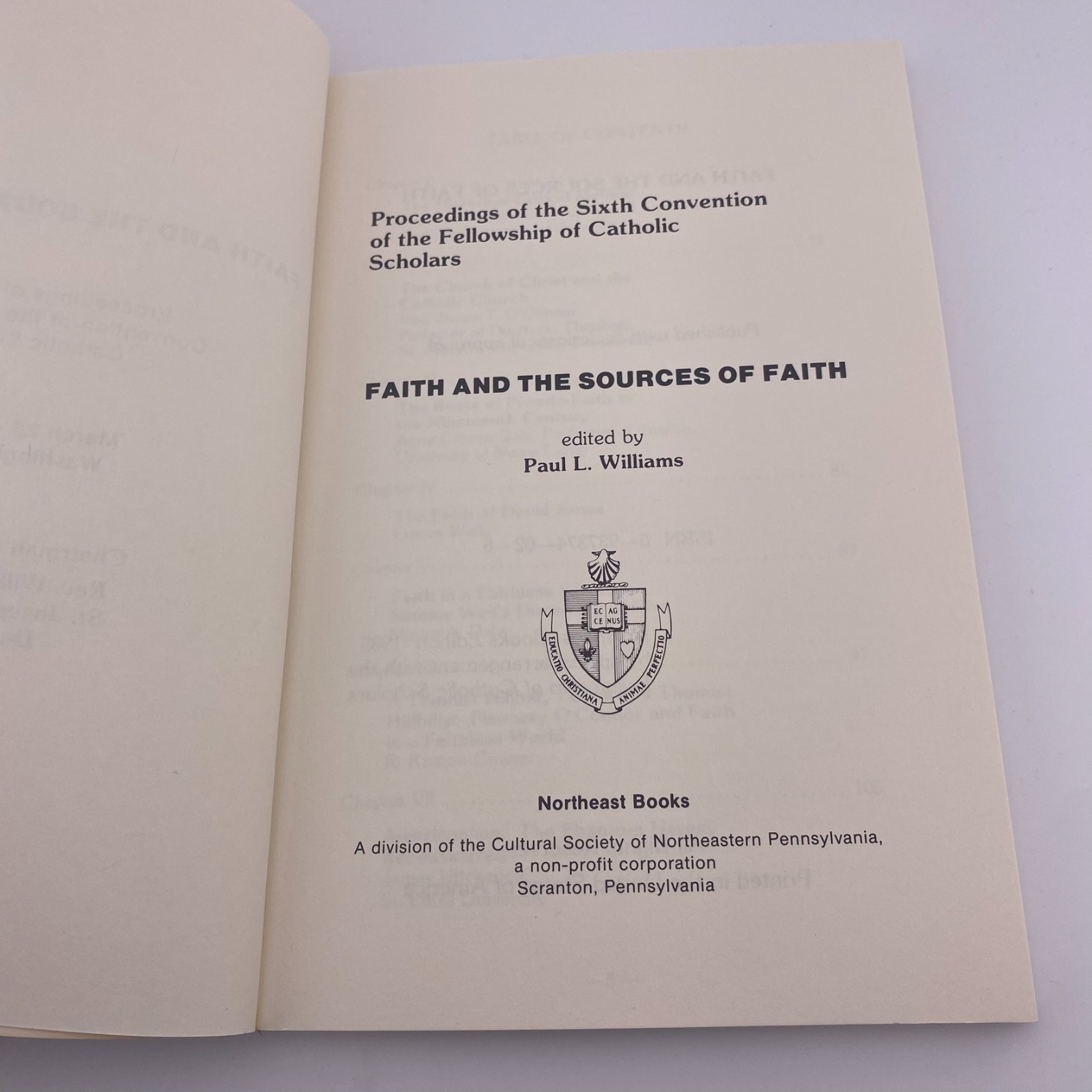 Faith and the Sources of Faith Catholic Scholars Theology 1985 PB