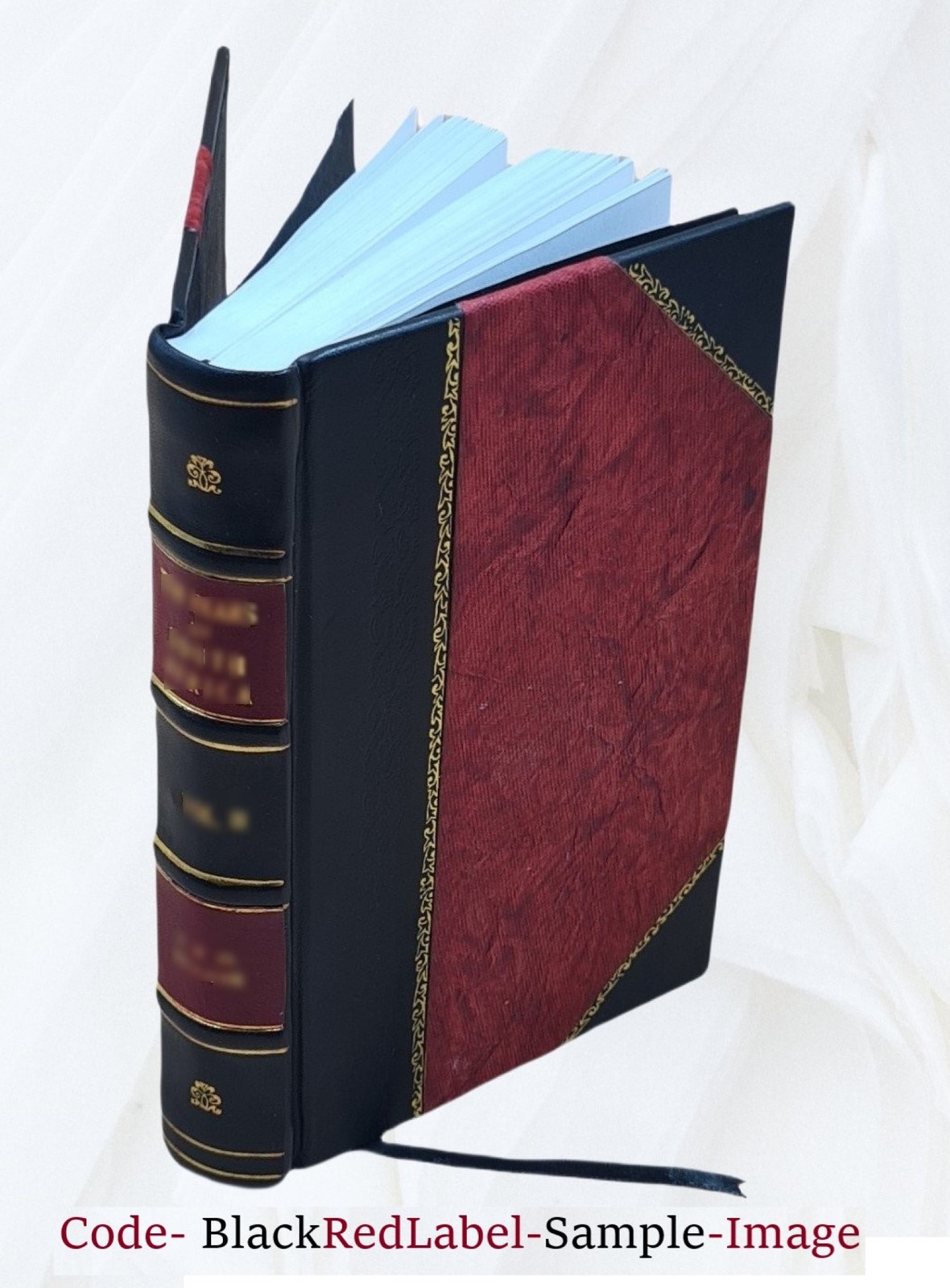 The Myth Of The Twentieth Century 1930 by Alfred Rosenberg [Leather Bound]